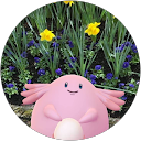 Mizuho Iida profile picture